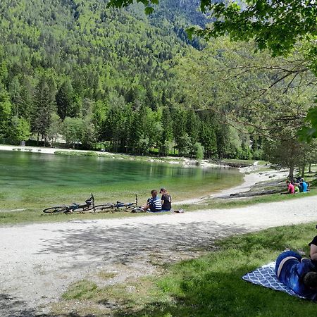 Les Chalet Kranjska Gora I Eksteriør billede