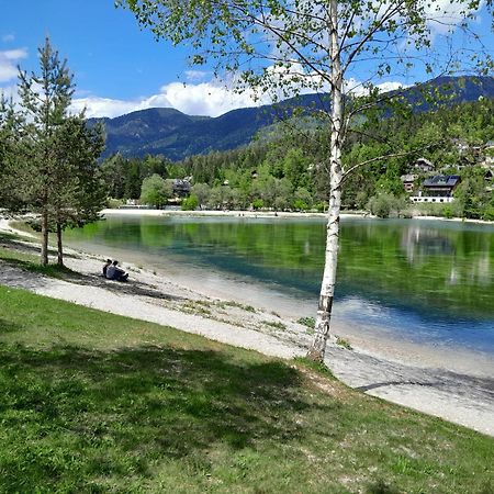 Les Chalet Kranjska Gora I Eksteriør billede