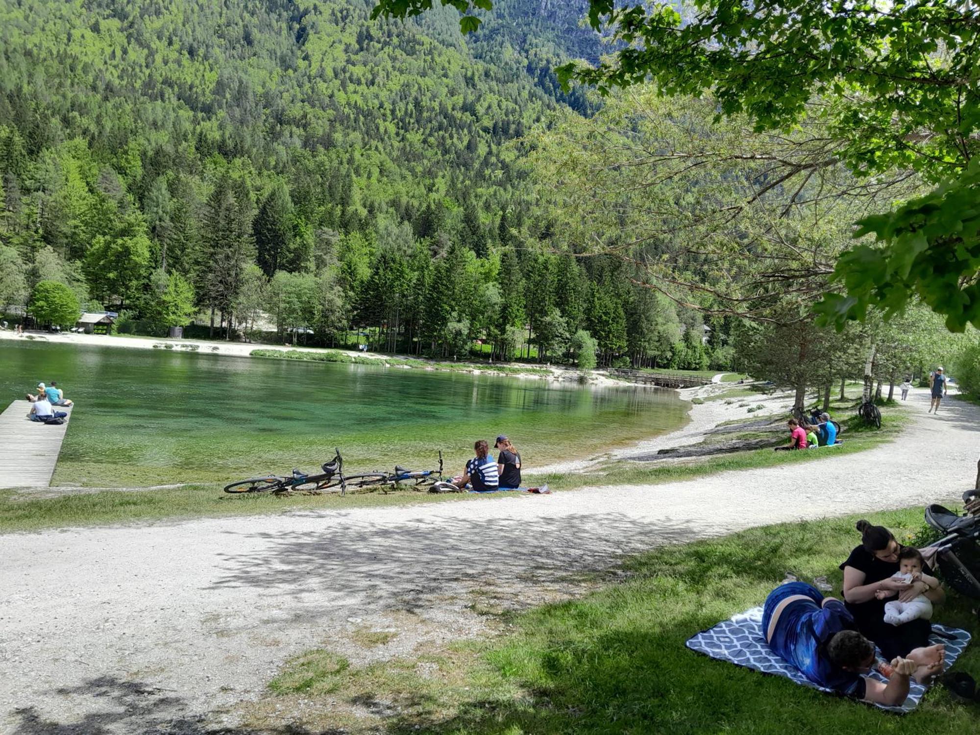 Les Chalet Kranjska Gora I Eksteriør billede