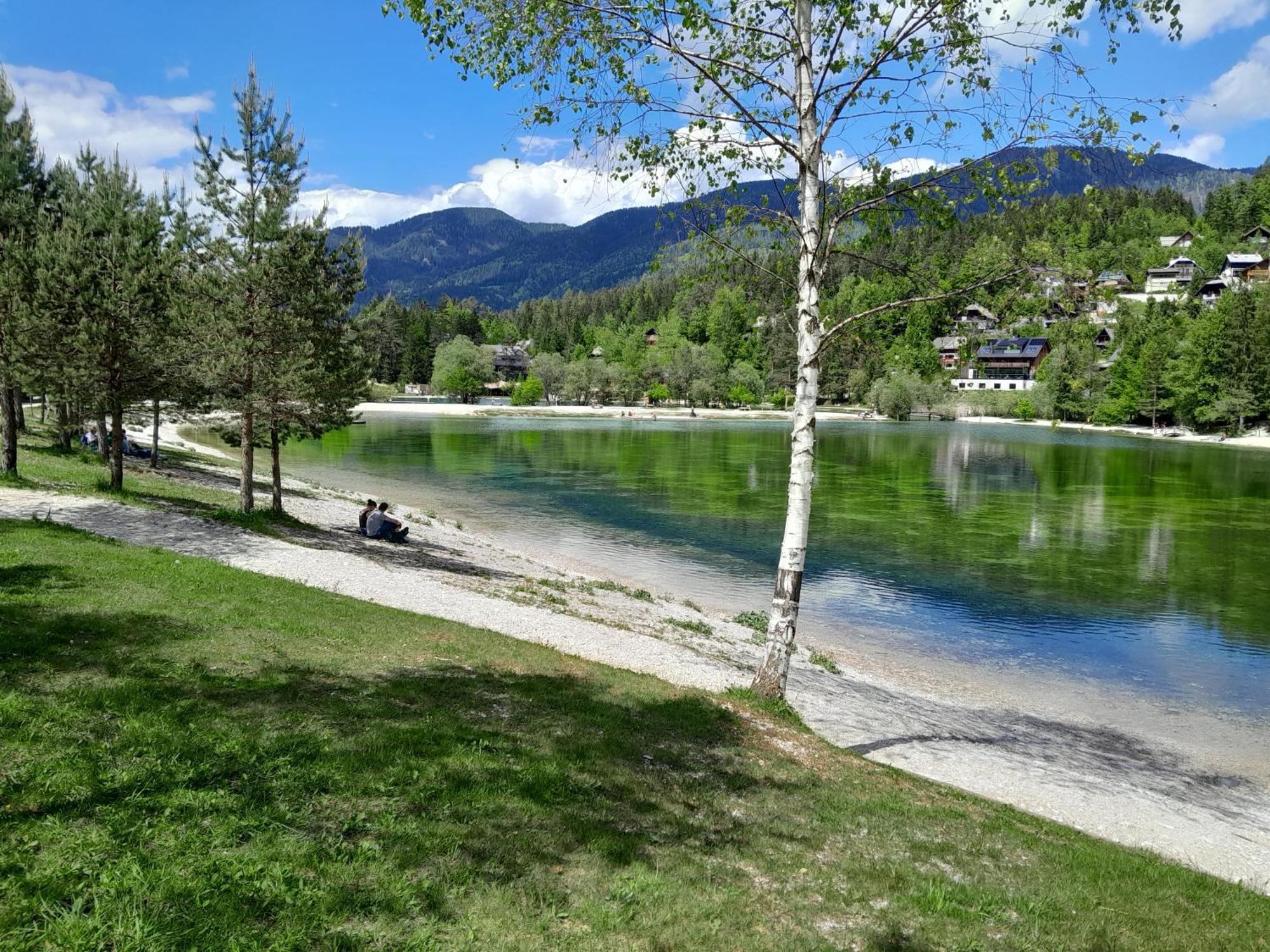 Les Chalet Kranjska Gora I Eksteriør billede